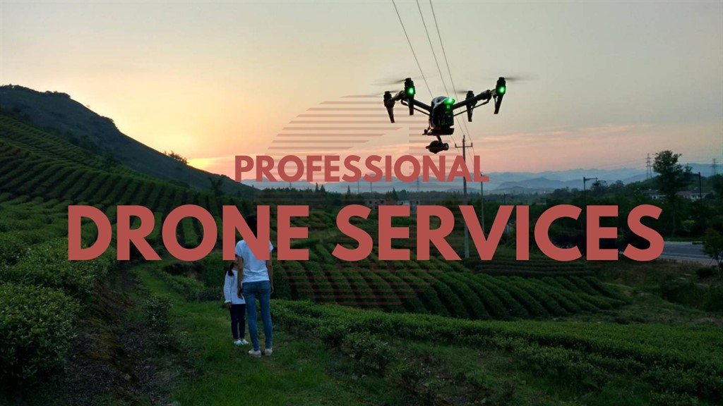 Hangzhou Drone Services